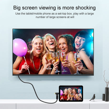 3 in 1 HDMI Female to Mini HDMI Male + Micro HDMI Male Adapter(Black) by buy2fix