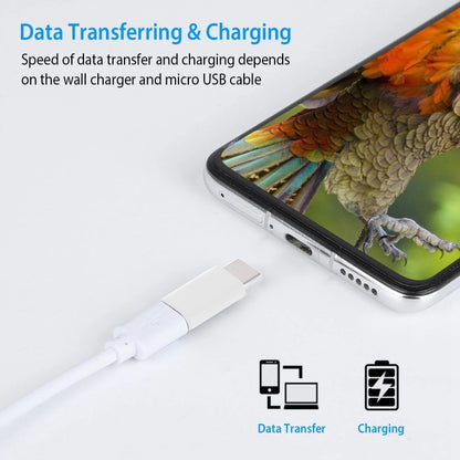 USB-C / Type-C 3.1 Male to Micro USB Female Converter Adapter, Length: 2.5cm(White) - Audio Adapter by buy2fix | Online Shopping UK | buy2fix