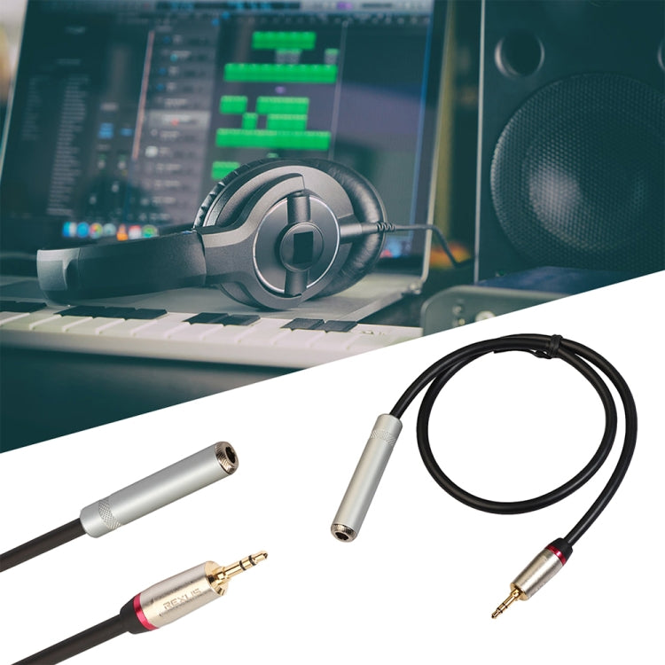 REXLIS TC128MF 3.5mm Male to 6.5mm Female Audio Adapter Cable, Length: 1m - Audio Adapter by REXLIS | Online Shopping UK | buy2fix