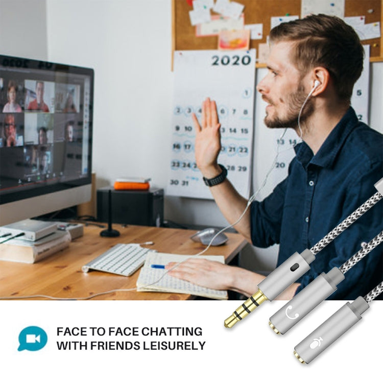 HY191 2 in 1 3.5mm Male to Microphone + Audio Female Braided Audio Cable, Length: 26cm by buy2fix