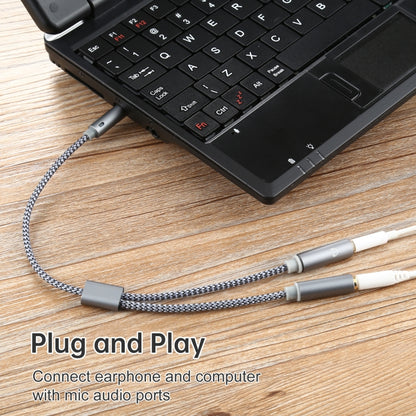 HY191 2 in 1 3.5mm Male to Microphone + Audio Female Braided Audio Cable, Length: 26cm by buy2fix