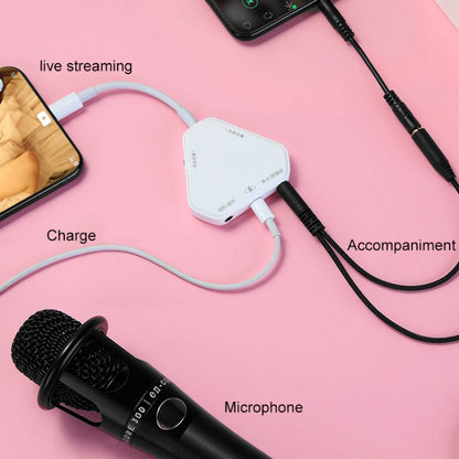 5 In 1 Multifunctional Live Broadcast Converter Mini Sound Card(White) - Live Sound Effects Processors by buy2fix | Online Shopping UK | buy2fix
