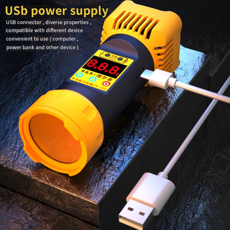 B&R ZS-100 2 in 1 UV Curing Lamp + Fan Cooler Repair Tool by buy2fix