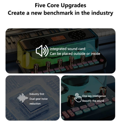 C18 Home Sound Card Karaoke Audio Integrated Microphone Equipment Full Set - Live Sound Effects Processors by buy2fix | Online Shopping UK | buy2fix