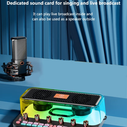 C18 Home Sound Card Karaoke Audio Integrated Microphone Equipment Full Set - Live Sound Effects Processors by buy2fix | Online Shopping UK | buy2fix