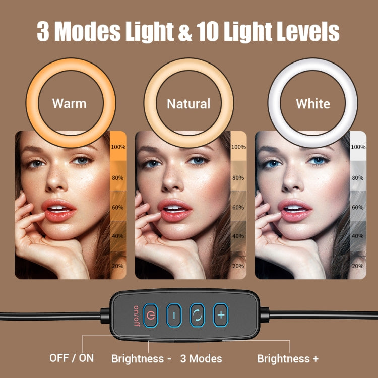 Apexel FL20 10 Inch LED Ring Light Foldable Metal Swing Arm Desk Lamp with Stand & Phone Holder - Ring Light by APEXEL | Online Shopping UK | buy2fix