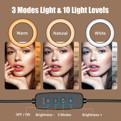 Apexel FL20 10 Inch LED Ring Light Foldable Metal Swing Arm Desk Lamp with Stand & Phone Holder - Ring Light by APEXEL | Online Shopping UK | buy2fix