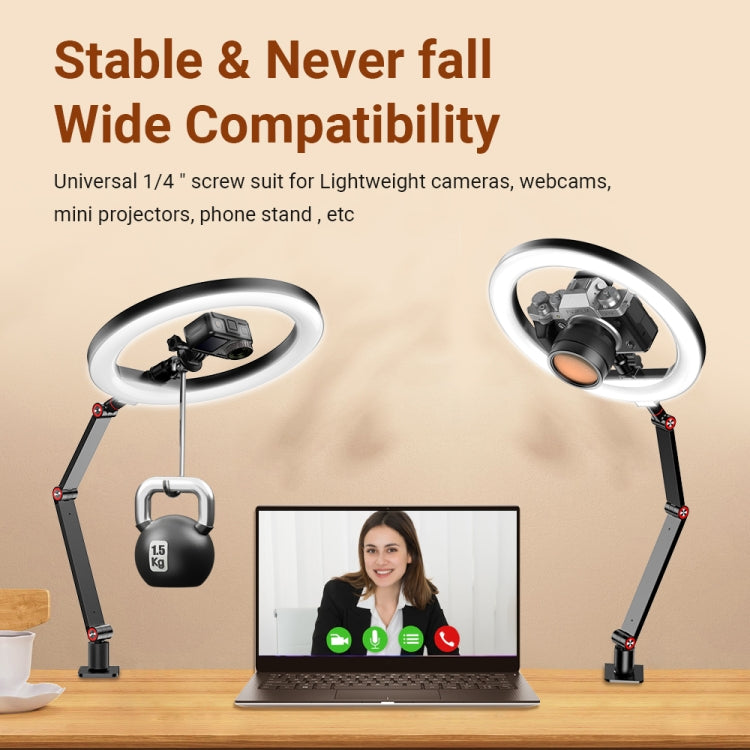 Apexel FL20 10 Inch LED Ring Light Foldable Metal Swing Arm Desk Lamp with Stand & Phone Holder - Ring Light by APEXEL | Online Shopping UK | buy2fix