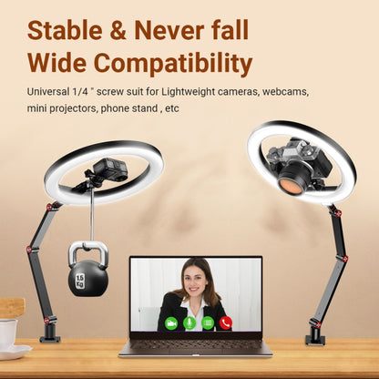 Apexel FL20 10 Inch LED Ring Light Foldable Metal Swing Arm Desk Lamp with Stand & Phone Holder - Ring Light by APEXEL | Online Shopping UK | buy2fix