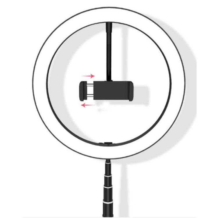 Portable Collapsible Studio-Level Professional Fill Light Mobile Phone Bracket LED Ring Light(Black) - Ring Light by buy2fix | Online Shopping UK | buy2fix
