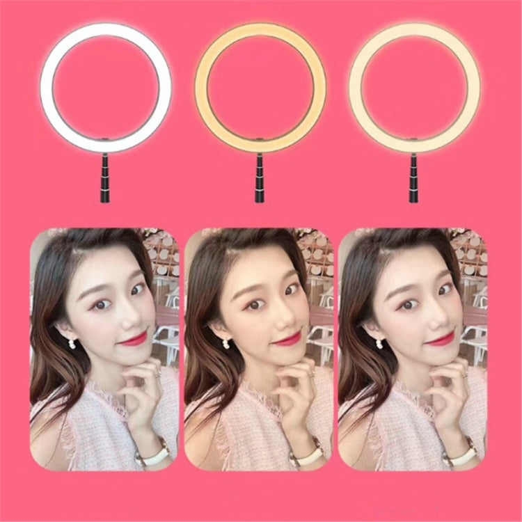Portable Collapsible Studio-Level Professional Fill Light Mobile Phone Bracket LED Ring Light(Black) - Ring Light by buy2fix | Online Shopping UK | buy2fix