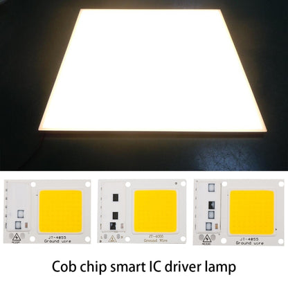High Power 220V LED FloodlightCool/Warm White COB LED Chip IP65 Smart IC Driver Lamp(20W white) by buy2fix