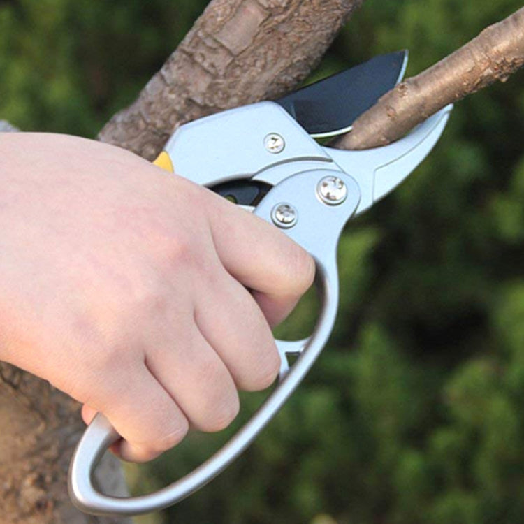 Labor-saving Hand Garden Gardening Shears Beak Manual Branch Pruning Shears - Garden Hand Tools by buy2fix | Online Shopping UK | buy2fix