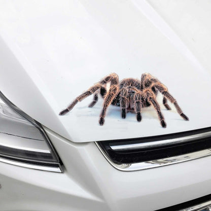 Creative Personality Scratch Cover Car Body Sticker(Black Spider) by buy2fix