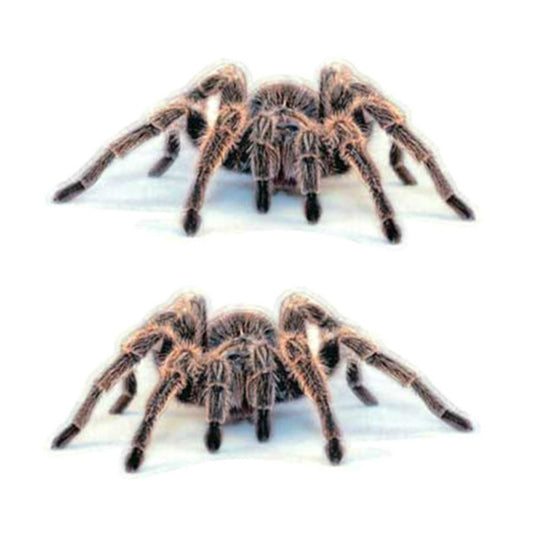 Creative Personality Scratch Cover Car Body Sticker(Spider Pair) by buy2fix