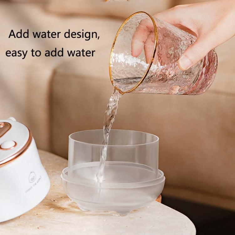 F08 Wired Water Replenishing Double Spray Humidifier LED Night Light Humidifier(White) - Air Purifiers & Accessories by buy2fix | Online Shopping UK | buy2fix