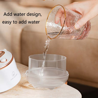 F08 Wired Water Replenishing Double Spray Humidifier LED Night Light Humidifier(White) - Air Purifiers & Accessories by buy2fix | Online Shopping UK | buy2fix