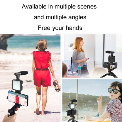KIT-01LM 3 in 1 Video Shooting LED Light Portable Tripod Live Microphone, Specification:Battery Models - Selfie Sticks by buy2fix | Online Shopping UK | buy2fix