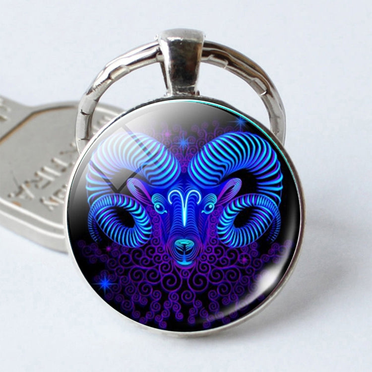 Zodiac Sign Keychain 12 Constellation Pendant Single Face Keyring by buy2fix