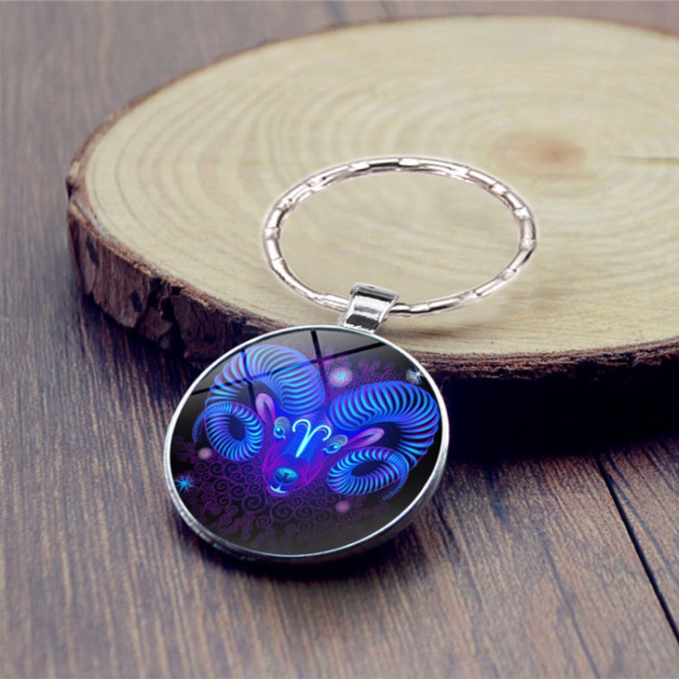 Zodiac Sign Keychain 12 Constellation Pendant Single Face Keyring by buy2fix