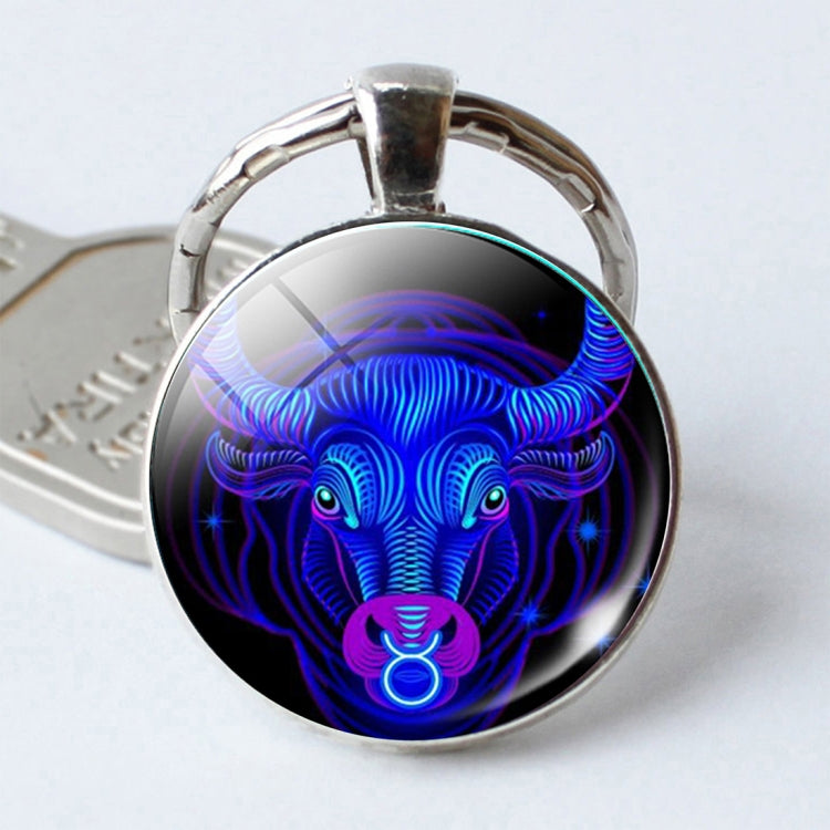 Zodiac Sign Keychain 12 Constellation Pendant Single Face Keyring by buy2fix