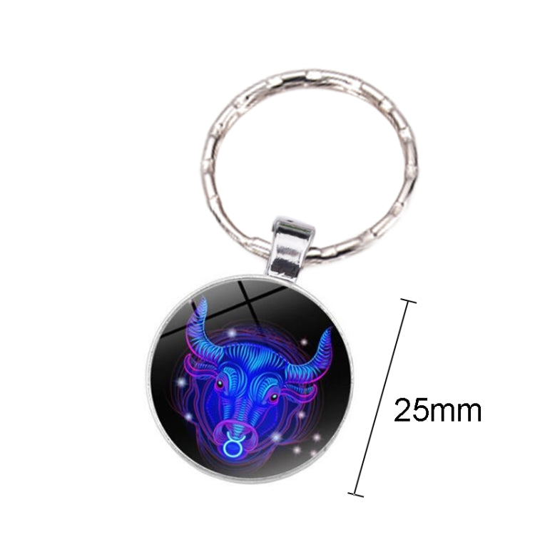 Zodiac Sign Keychain 12 Constellation Pendant Single Face Keyring by buy2fix