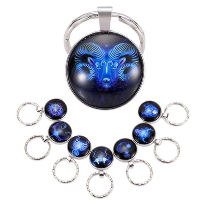 Zodiac Sign Keychain 12 Constellation Pendant Single Face Keyring by buy2fix