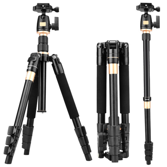 Q555 4-Section Folding Legs Aluminum Alloy Tripod Mount Monopod Holder with Ball Head - Tripods by buy2fix | Online Shopping UK | buy2fix