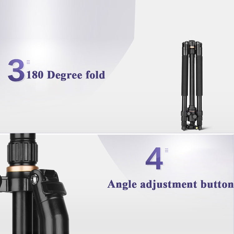Q222 Portable 4-Section Folding Legs Aluminum Alloy Tripod Mount Monopod Holder with Ball Heads - Tripods by buy2fix | Online Shopping UK | buy2fix
