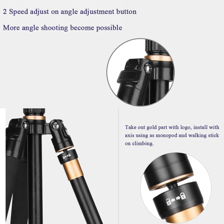 Q222 Portable 4-Section Folding Legs Aluminum Alloy Tripod Mount Monopod Holder with Ball Heads - Tripods by buy2fix | Online Shopping UK | buy2fix