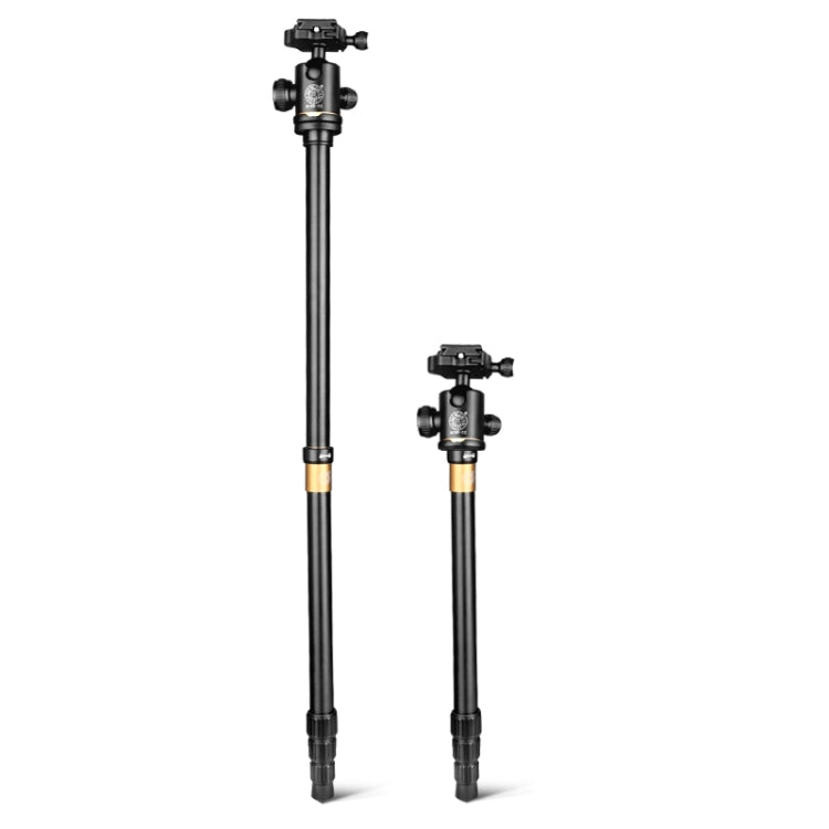 Q222 Portable 4-Section Folding Legs Aluminum Alloy Tripod Mount Monopod Holder with Ball Heads - Tripods by buy2fix | Online Shopping UK | buy2fix