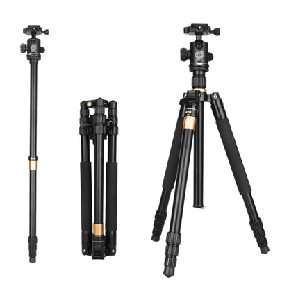 Q222 Portable 4-Section Folding Legs Aluminum Alloy Tripod Mount Monopod Holder with Ball Heads - Tripods by buy2fix | Online Shopping UK | buy2fix
