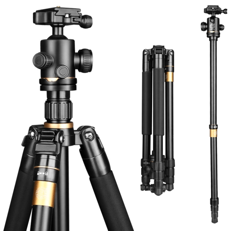 Q222 Portable 4-Section Folding Legs Aluminum Alloy Tripod Mount Monopod Holder with Ball Heads - Tripods by buy2fix | Online Shopping UK | buy2fix
