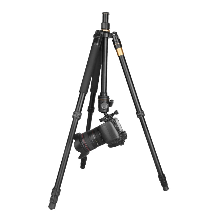 Q222 Portable 4-Section Folding Legs Aluminum Alloy Tripod Mount Monopod Holder with Ball Heads - Tripods by buy2fix | Online Shopping UK | buy2fix