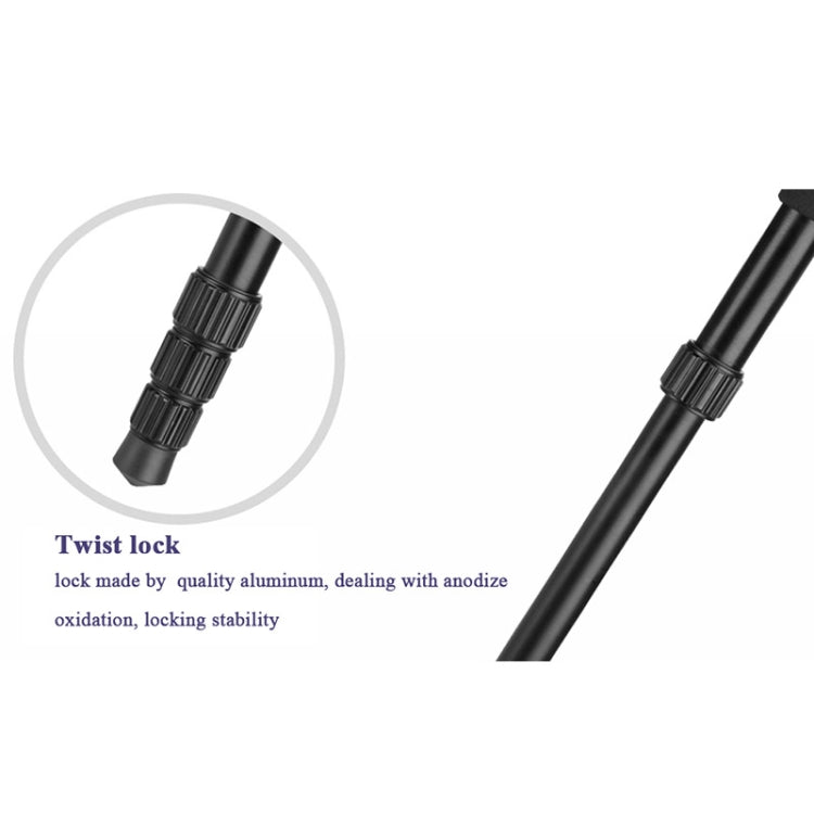 Q222 Portable 4-Section Folding Legs Aluminum Alloy Tripod Mount Monopod Holder with Ball Heads - Tripods by buy2fix | Online Shopping UK | buy2fix