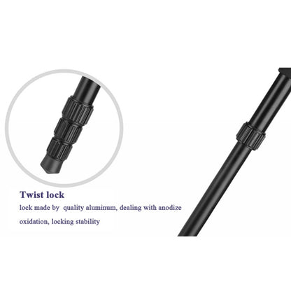 Q222 Portable 4-Section Folding Legs Aluminum Alloy Tripod Mount Monopod Holder with Ball Heads - Tripods by buy2fix | Online Shopping UK | buy2fix
