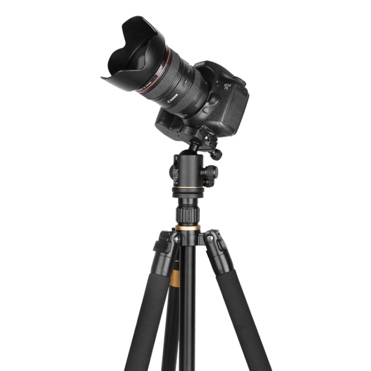 Q222 Portable 4-Section Folding Legs Aluminum Alloy Tripod Mount Monopod Holder with Ball Heads - Tripods by buy2fix | Online Shopping UK | buy2fix