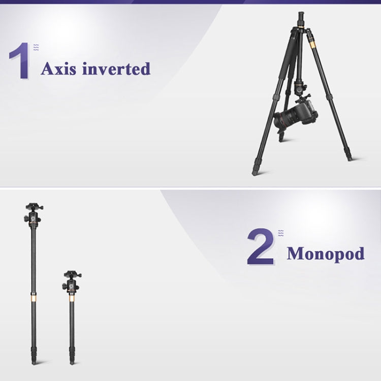 Q222 Portable 4-Section Folding Legs Aluminum Alloy Tripod Mount Monopod Holder with Ball Heads - Tripods by buy2fix | Online Shopping UK | buy2fix