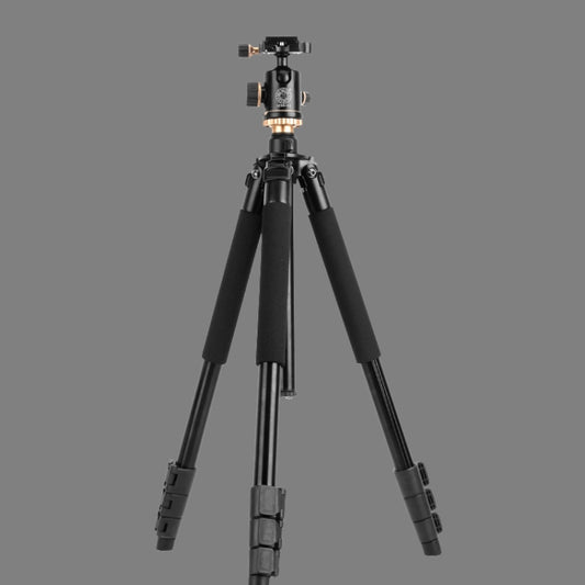 Q338 4-Section Folding Legs Live Broadcast Aluminum Alloy Tripod Mount With Ball Head - Tripods by buy2fix | Online Shopping UK | buy2fix