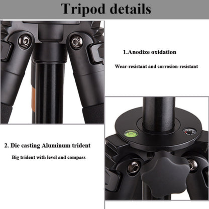 Q620 4-Section Folding Legs Heavy Duty Aluminum Alloy Tripod With Three-Dimensional Damping Tripod Heads - Tripods by buy2fix | Online Shopping UK | buy2fix
