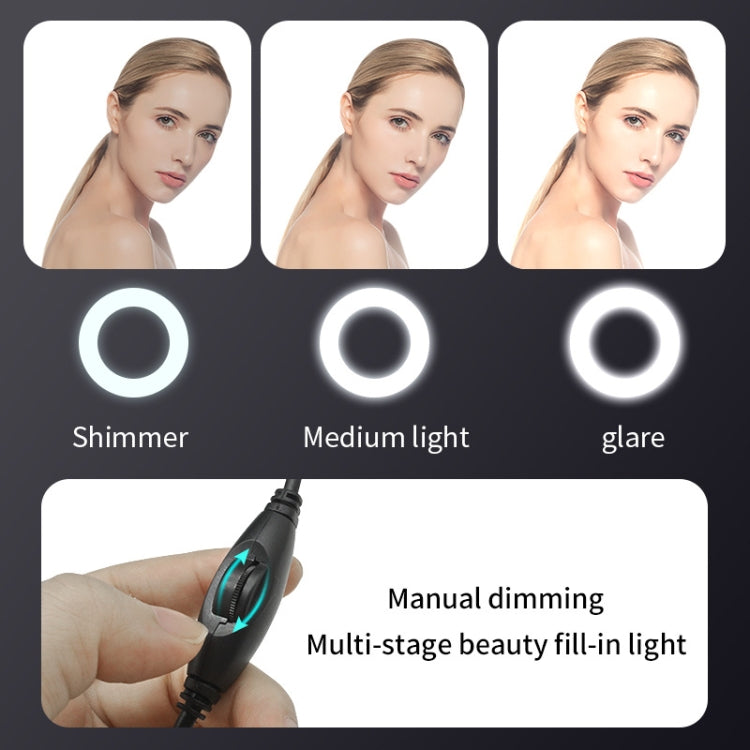 A9mini USB Drive-Free HD Fill Light Camera with Microphone, Pixel: 5.0 Million Pixels 2K Auto Focus by buy2fix