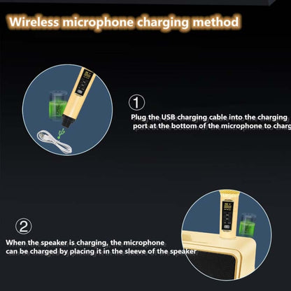SDRD SD309 Wireless Microphone Bluetooth Audio All-In-One Machine(Black) - Microphone by buy2fix | Online Shopping UK | buy2fix