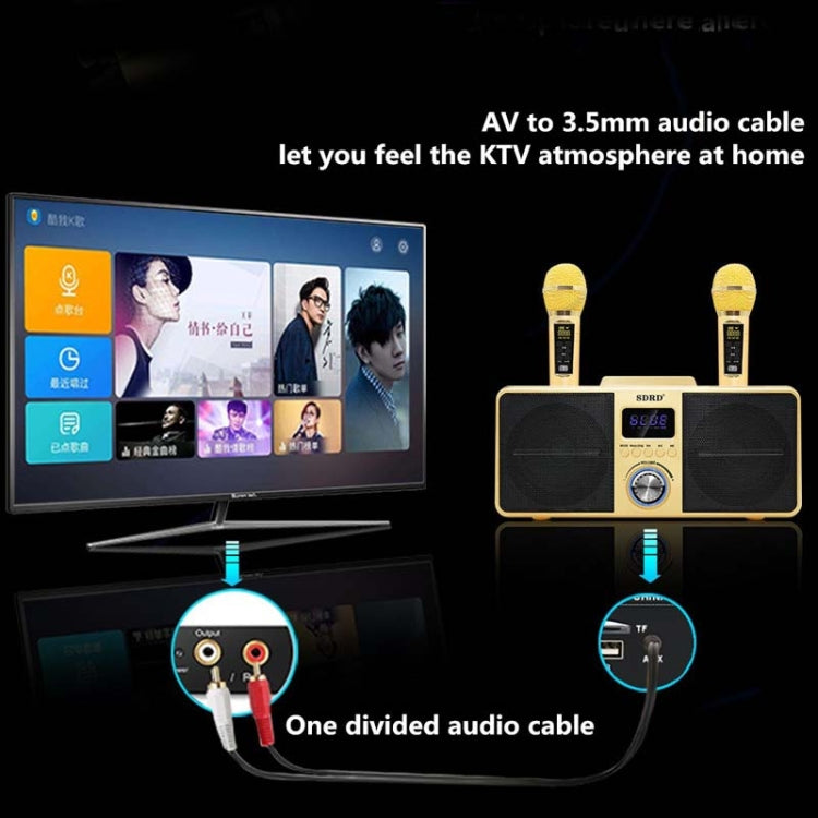 SDRD SD309 Wireless Microphone Bluetooth Audio All-In-One Machine(Black) - Microphone by buy2fix | Online Shopping UK | buy2fix