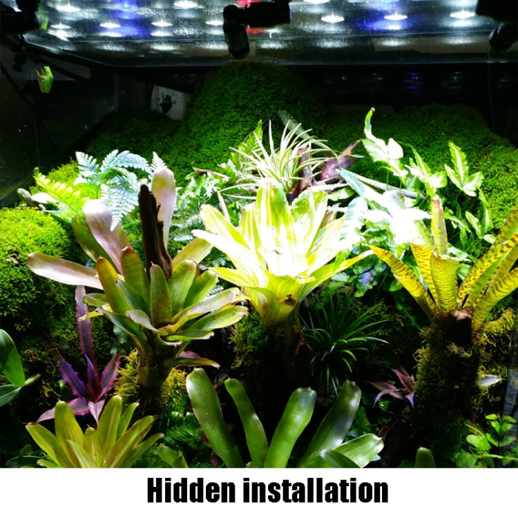 MS-PT03 Rainforest Tank Landscaping Climbing Pet Feeding Box Mini Spray Double-Head Atomization Cooling Nozzle - Fish Tanks & Accessories by buy2fix | Online Shopping UK | buy2fix