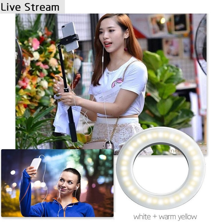 Mobile Phone Live Selfie Light LED Beauty Ring Fill Light(Black) - Ring Light by buy2fix | Online Shopping UK | buy2fix