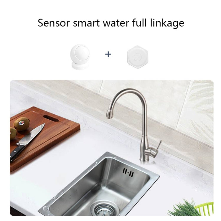 HQ-6532 Tuya Intelligent Anti-Theft Human Motion Infrared Sensor - Infrared Detector by buy2fix | Online Shopping UK | buy2fix