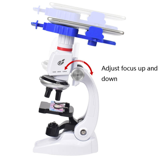 Students Scientific Experimental Equipment Biological Microscope, Style: C2156 With Phone Holder - Digital Microscope by buy2fix | Online Shopping UK | buy2fix