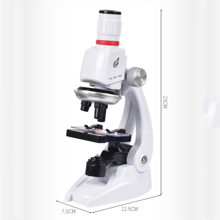 Students Scientific Experimental Equipment Biological Microscope, Style: C2156 With Phone Holder - Digital Microscope by buy2fix | Online Shopping UK | buy2fix