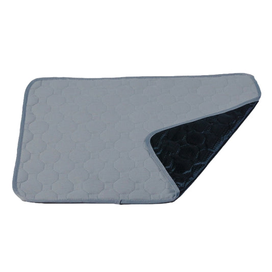 2 PCS 50x40cm Car Pet Injection Pad Waterproof Pad Cat Dog Sofa Waterproof Diapholic Carpet Water Absorbing Pad(Light Grey) by buy2fix