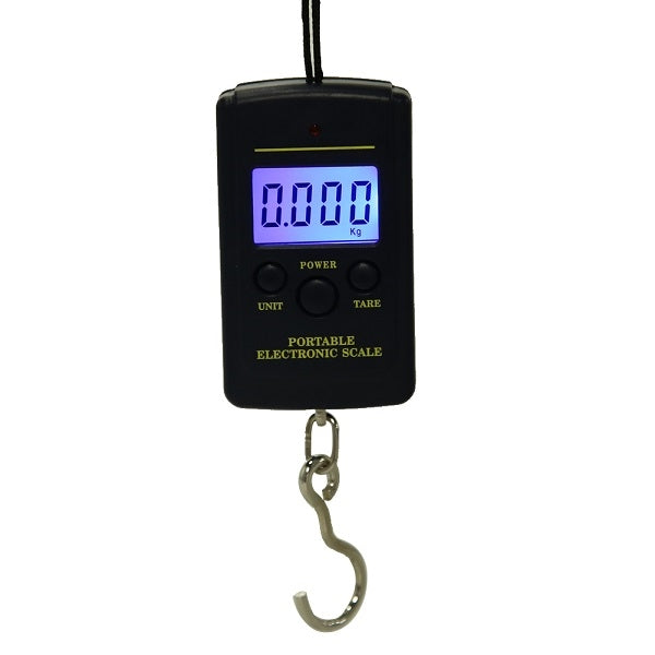 10g Mini Digital Fishing Scale Travel Weighting Steelyard Hanging Electronic Hook Scale Kitchen Weight Tool, Capacity:40kg with backlight by buy2fix